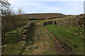 Track leading onto Barden Moor in BD23 6SH