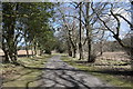 The track to Parkhill House in AB21 7AL