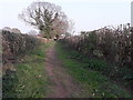 Footpath off Grooms Lane, Kemberton in Kemberton