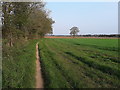Fieldside path near Kemberton in Kemberton