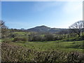 View to the Stretton Hills in spring in SY6 6RG