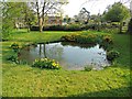 Pond on Bubbenhall Village Green in CV8 3BF