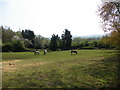 View over Horse paddock towards the South Downs in GU32 1AJ