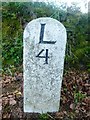 Old Milestone by the A395, north east of Trevosper in PL15 8PF