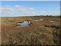 Stiffkey Salt Marshes in Stiffkey