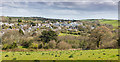 South Grampound from the west on Barteliver Hill in TR2 4RS