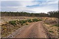 Track in Clune Wood in IV2 6TW