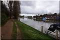 Thames Path towards Laleham in TW18 2HU