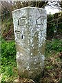 Old Guide Stone south of Goosewell in PL17 8PG