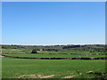 View towards Gorse Hill from footpath in B60 1DQ
