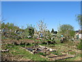 Round Hill allotments Marlbrook in B60 1DQ