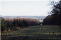 View through Oakhill Wood from Fosbury Camp in SN8 3NN