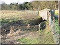 Little bridge over the dried up Nailbourne in CT4 5BJ
