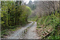 Private Track in Barteliver Woods in TR2 4SL