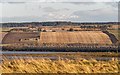Cromarty Firth Landscape in IV16 9XJ