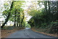 Forest Road, Greatham in GU33 6YX