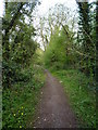 Section of bridleway west of Halesfield in TF7 4QT