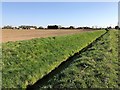 Drain alongside a green lane called Black Dike. in Leverington & Wisbech Rural Ward