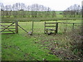 Footpath across marshy land near Horton Priory in TN25 6DZ