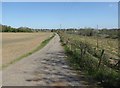 Track through farmland, Ospringe in ME13 0RH