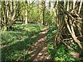 Path through Long Wood in TN15 8LL