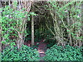 Monarch's Way path entering copse near Lizzies Farm in B61 0QG