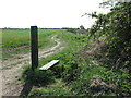 Public Footpath near Murton in NE29 8DS