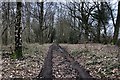 Track to Montpelier Farm in GU28 0HF