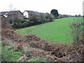 Field margin and footpath, Brabourne Lees in TN25 6QS