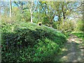 Track through Hampton Wood in CV35 8AT