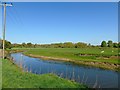 River Avon upstream of Hampton Wood Meadow in CV35 8AS