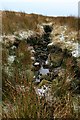 Unnamed Brook on Fleensop Moor in DL8 4TR