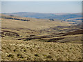 Moorland around Aglionby Beck in Alston and Fellside Ward