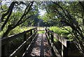 Footbridge near Osier Platt in Lindfield Rural & High Weald Ward