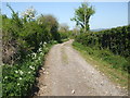 Along a rocky track in BS31 2SG