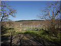 Gate into tree plantation, by Easter Mains in IV4 7JR