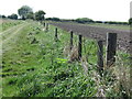 Old Boundary Fence near Murton in NE29 8DS
