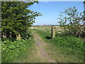 Old Stone Gateposts, Murton Lane, Murton in NE29 8DS
