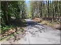 Lane through the Forest in TN3 9JN