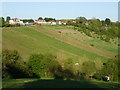 Long paddocks from the houses in BS39 4JB