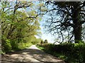 Minor road to Burrow Cross in EX18 7EQ