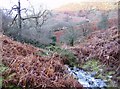 Stream above Cwm Mawr in NP8 1RG