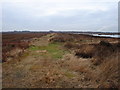 Looking Westwards from Humberhead Peatlands National Nature Reserve in DN14 8PX