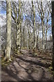 Beechwood walk, Kingswells in AB15 8XL