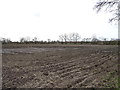 Ploughed field of Moor Lane in YO61 3ER