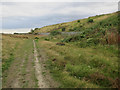 Footpath on Newbiggin Moor in NE63 9NW
