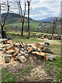There's plenty of logs for the winter in LL24 0TY