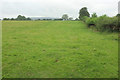 Pasture near Birches Farm in WV16 6UP