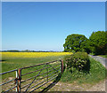 Farmland near Brightwell Baldwin in OX49 5PD