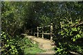 Footbridge over 1066 Country Walk in TN33 0RS